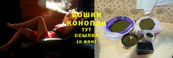 стаф Дмитровск