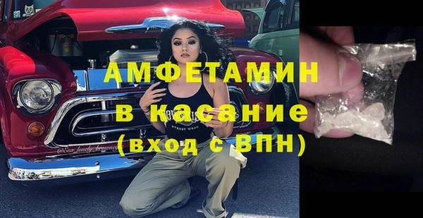 стаф Дмитровск