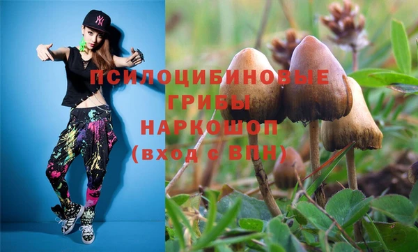 спайс Гусь-Хрустальный